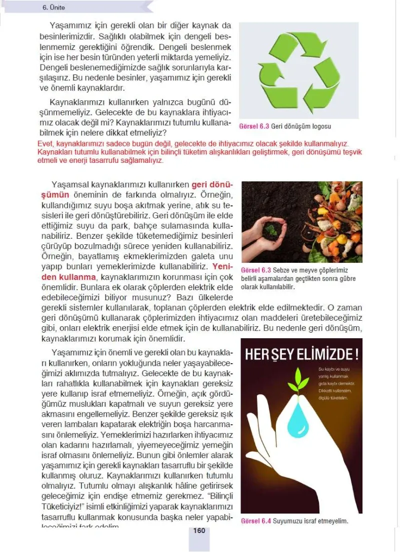 4. Sınıf Fen Bilimleri Ders Kitabı Cevapları Sözcü Yayınları Sayfa 160 Çözüm Görseli