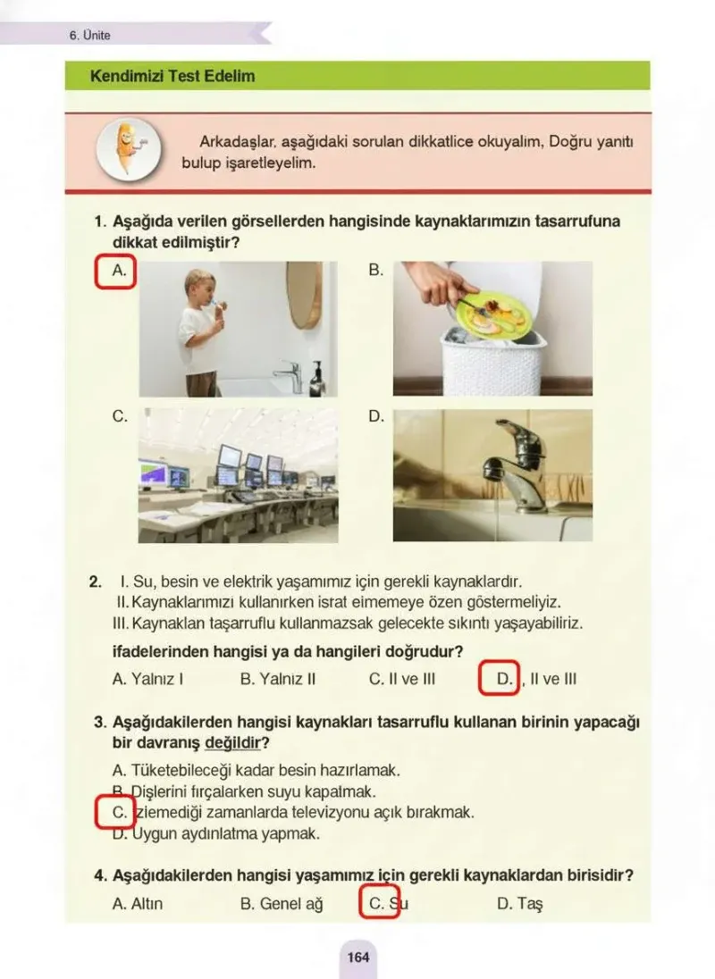 4. Sınıf Fen Bilimleri Ders Kitabı Cevapları Sözcü Yayınları Sayfa 164 Çözüm Görseli