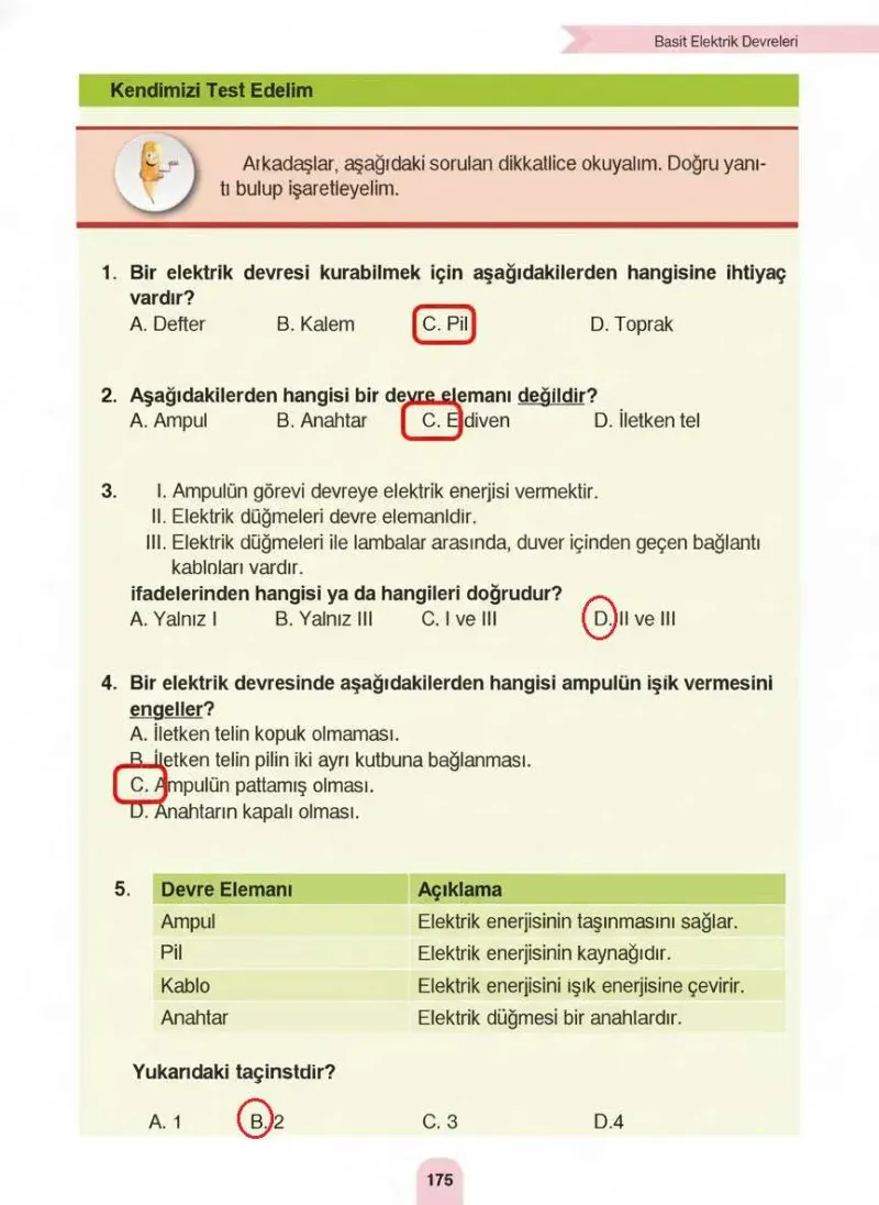 4. Sınıf Fen Bilimleri Ders Kitabı Cevapları Sözcü Yayınları Sayfa 175 Çözüm Görseli