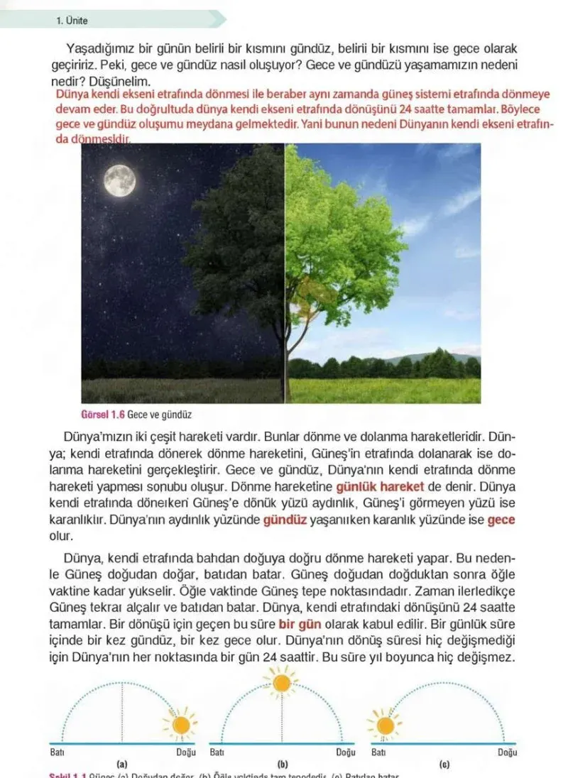 4. Sınıf Fen Bilimleri Ders Kitabı Cevapları Sözcü Yayınları Sayfa 20 Çözüm Görseli