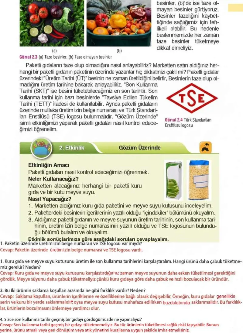 4. Sınıf Fen Bilimleri Ders Kitabı Cevapları Sözcü Yayınları Sayfa 37 Çözüm Görseli