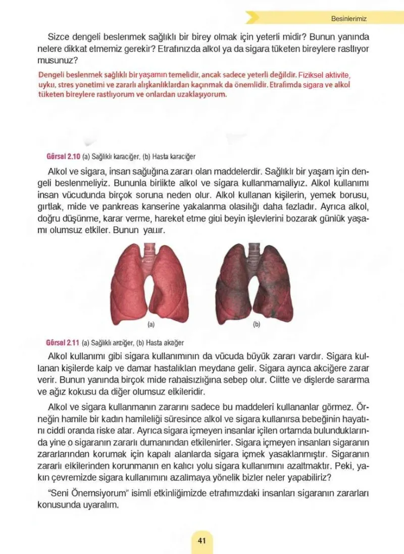 4. Sınıf Fen Bilimleri Ders Kitabı Cevapları Sözcü Yayınları Sayfa 41 Çözüm Görseli