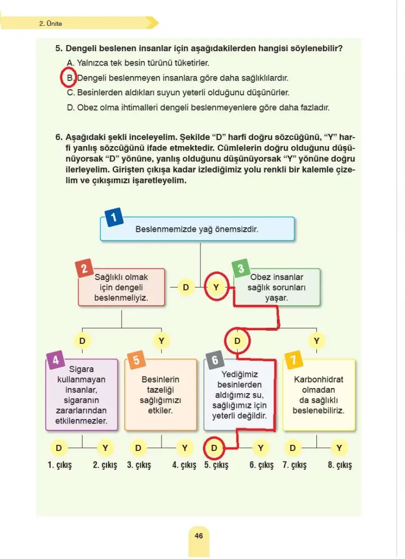 4. Sınıf Fen Bilimleri Ders Kitabı Cevapları Sözcü Yayınları Sayfa 46 Çözüm Görseli