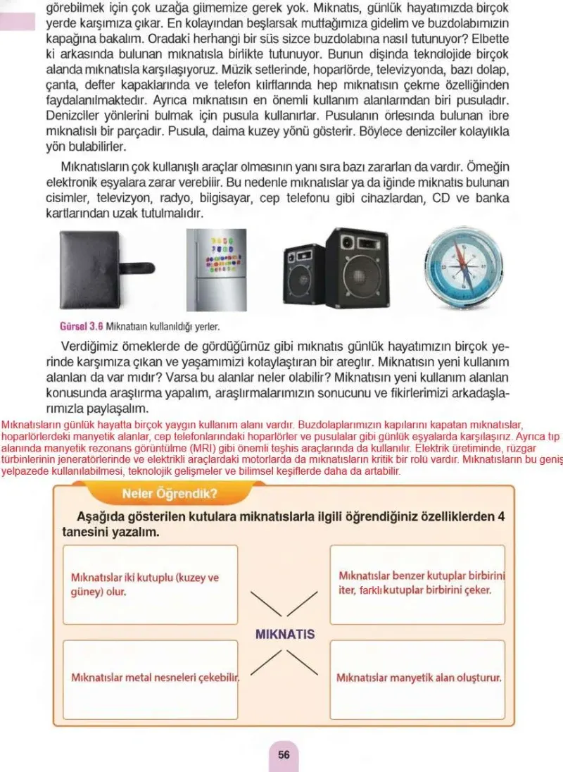 4. Sınıf Fen Bilimleri Ders Kitabı Cevapları Sözcü Yayınları Sayfa 56 Çözüm Görseli