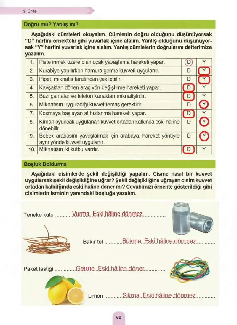 4. Sınıf Fen Bilimleri Ders Kitabı Cevapları Sözcü Yayınları Sayfa 60 Çözüm Görseli
