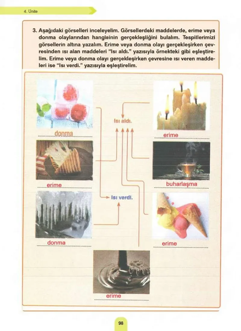 4. Sınıf Fen Bilimleri Ders Kitabı Cevapları Sözcü Yayınları Sayfa 98 Çözüm Görseli