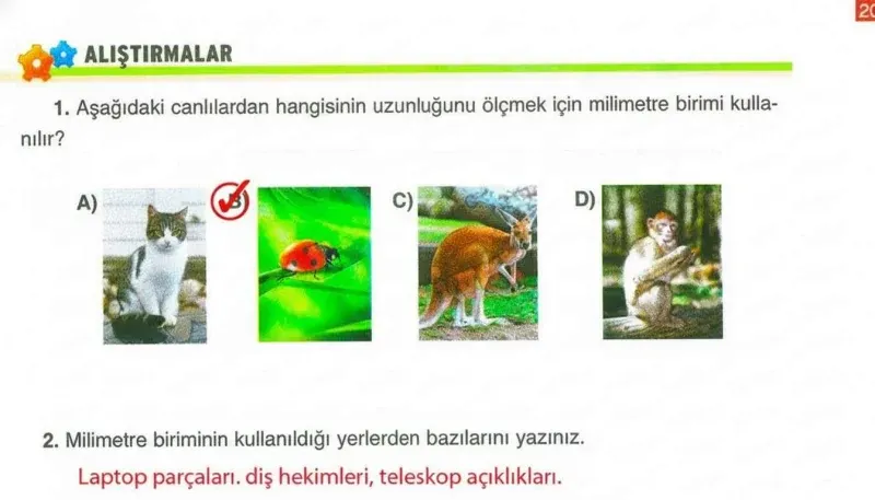 4. Sınıf Matematik Ders Kitabı Cevapları Ada Yayınları Sayfa 203 Çözüm Görseli