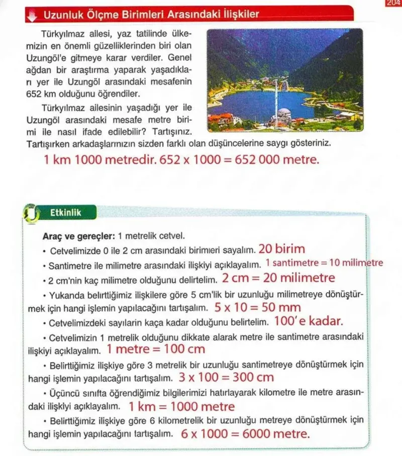 4. Sınıf Matematik Ders Kitabı Cevapları Ada Yayınları Sayfa 204 Çözüm Görseli