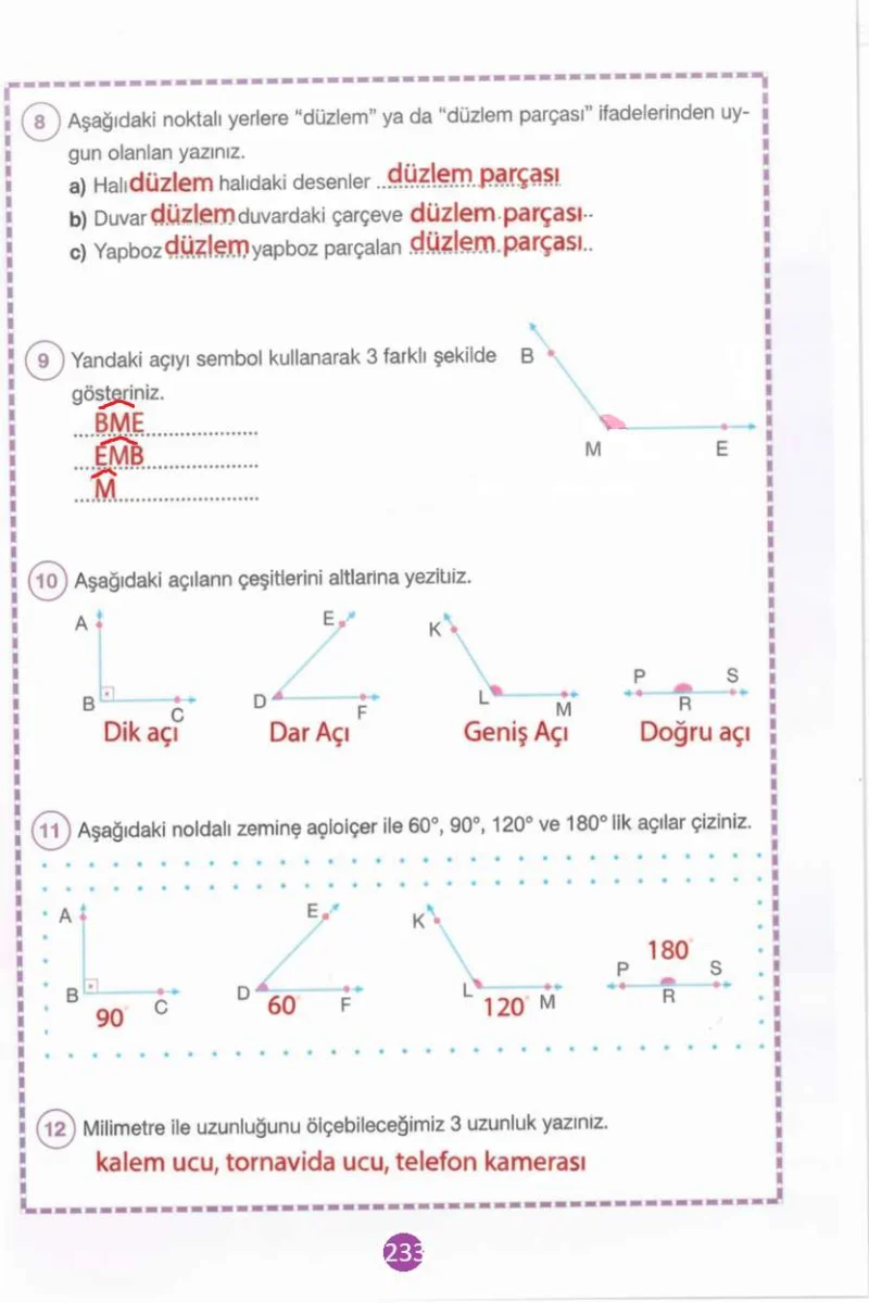 4. Sınıf Matematik Ders Kitabı Cevapları Pasifik Yayınları Sayfa 233 Çözüm Görseli