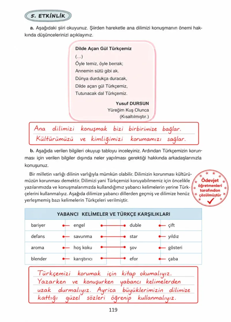 4. Sınıf Türkçe Ders Kitabı Cevapları Ada Yayınları Sayfa 119 Çözüm Görseli