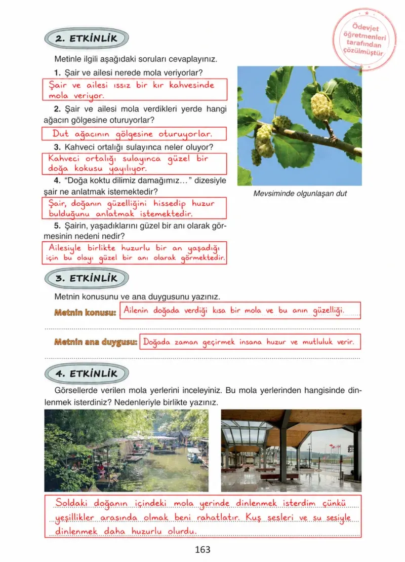4. Sınıf Türkçe Ders Kitabı Cevapları Ada Yayınları Sayfa 163 Çözüm Görseli