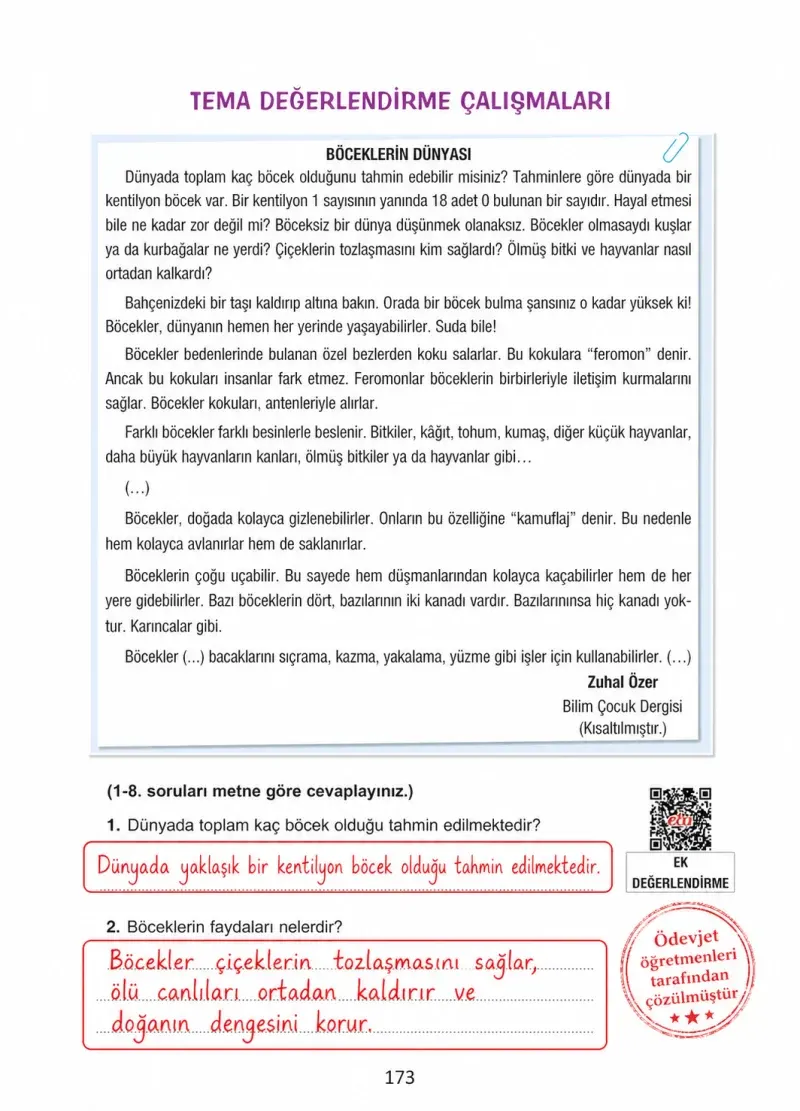 4. Sınıf Türkçe Ders Kitabı Cevapları Ada Yayınları Sayfa 173 Çözüm Görseli