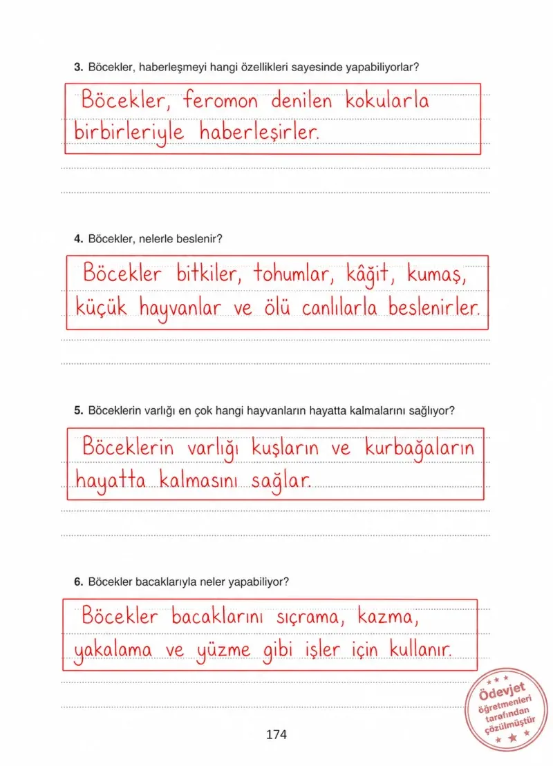 4. Sınıf Türkçe Ders Kitabı Cevapları Ada Yayınları Sayfa 174 Çözüm Görseli