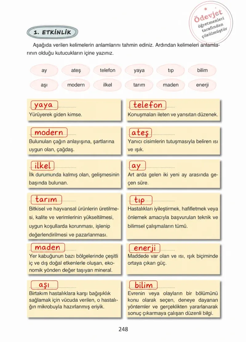 4. Sınıf Türkçe Ders Kitabı Cevapları Ada Yayınları Sayfa 248 Çözüm Görseli