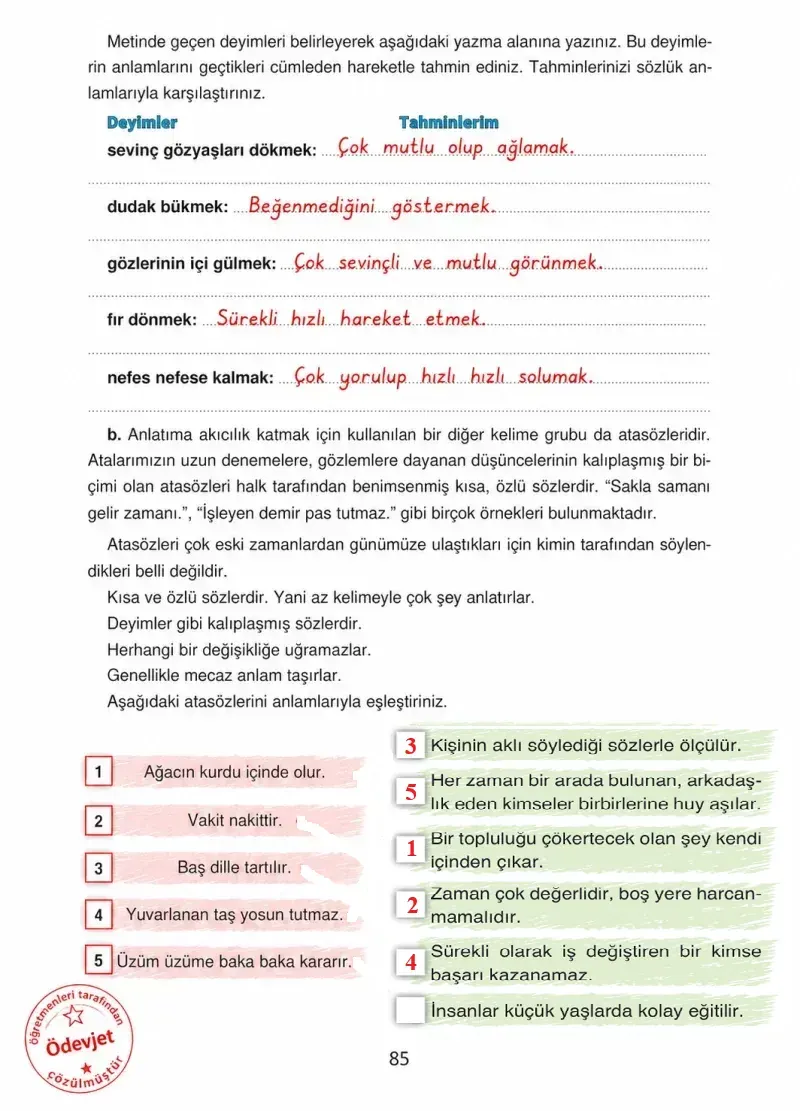 4. Sınıf Türkçe Ders Kitabı Cevapları Ada Yayınları Sayfa 85 Çözüm Görseli