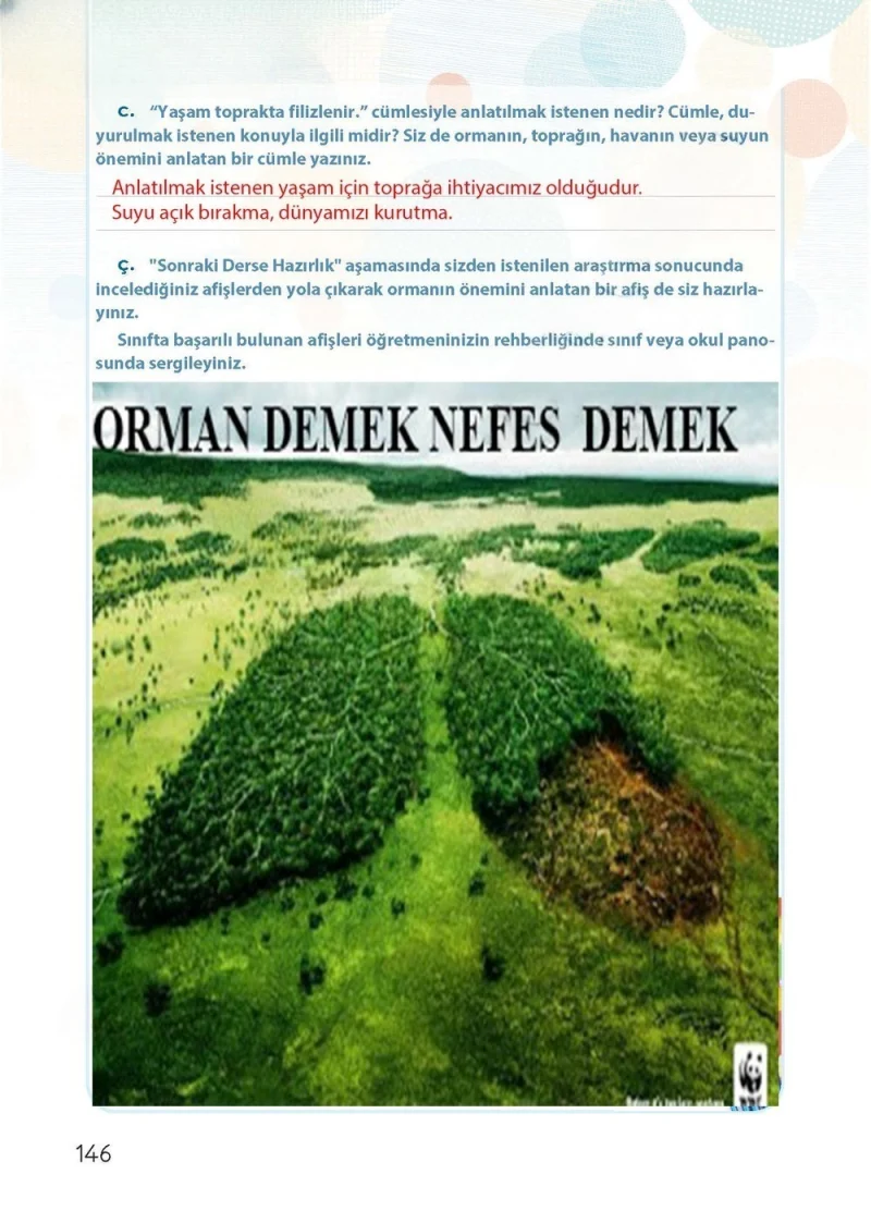 4. Sınıf Türkçe Ders Kitabı Cevapları Koza Yayınları Sayfa 146 Çözüm Görseli