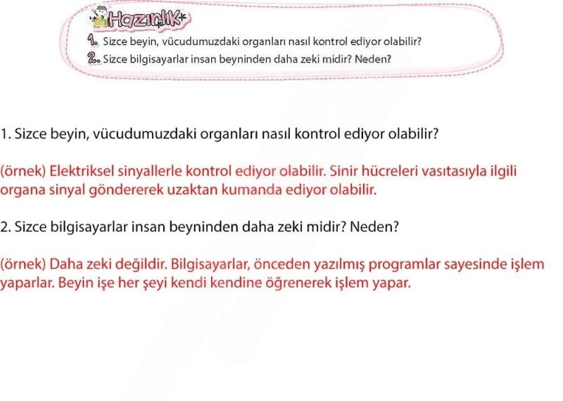 4. Sınıf Türkçe Ders Kitabı Cevapları Koza Yayınları Sayfa 240 Çözüm Görseli
