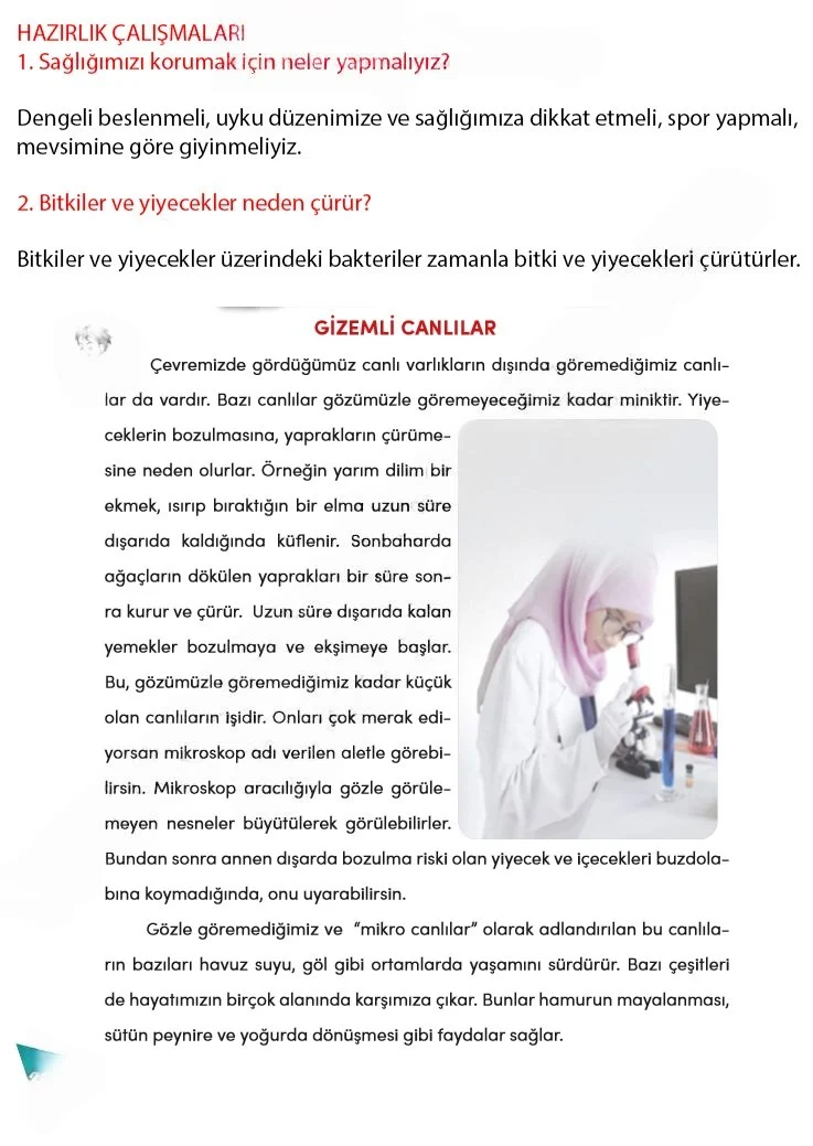 4. Sınıf Türkçe Ders Kitabı Cevapları Meb Yayınları 2 Sayfa 202 Çözüm Görseli