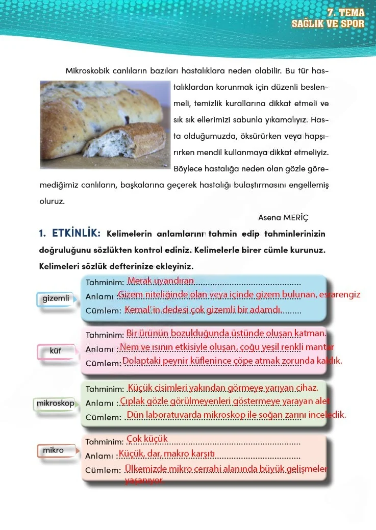 4. Sınıf Türkçe Ders Kitabı Cevapları Meb Yayınları 2 Sayfa 203 Çözüm Görseli