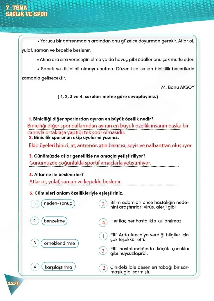 4. Sınıf Türkçe Ders Kitabı Cevapları Meb Yayınları 2 Sayfa 228 Çözüm Görseli