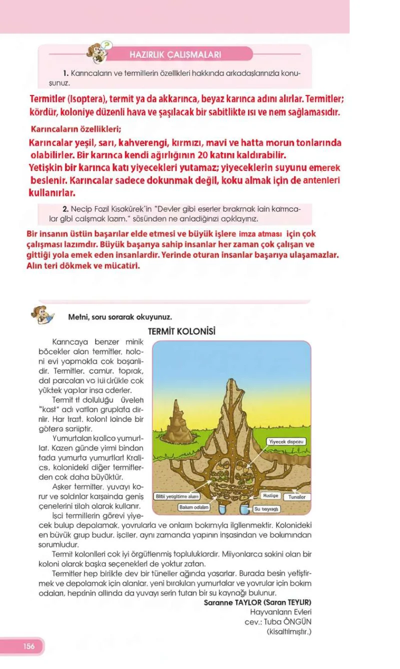 4. Sınıf Türkçe Ders Kitabı Cevapları Özgün Yayınları Sayfa 156 Çözüm Görseli