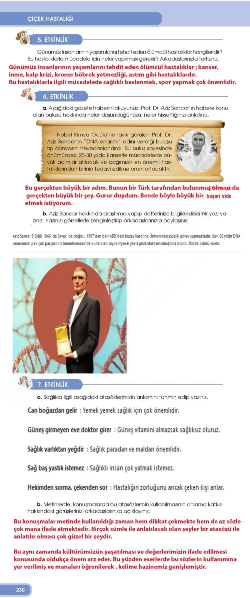4. Sınıf Türkçe Ders Kitabı Cevapları Özgün Yayınları Sayfa 230 Çözüm Görseli