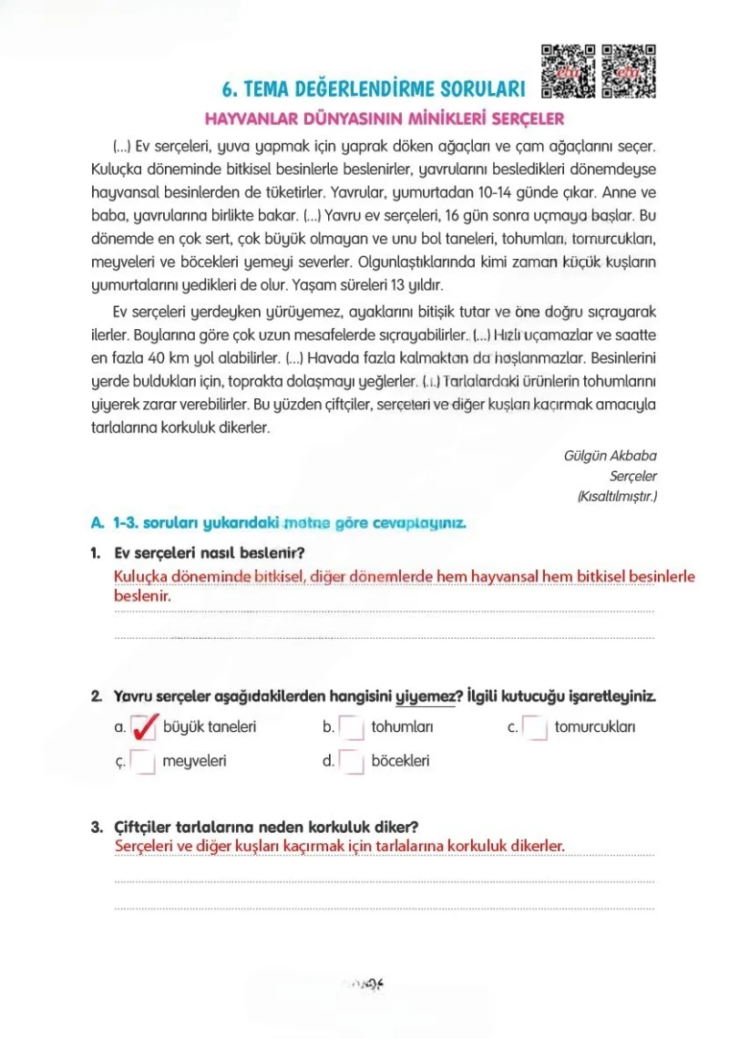 4. Sınıf Türkçe Ders Kitabı Cevapları Tuna Yayınları Sayfa 196 Çözüm Görseli