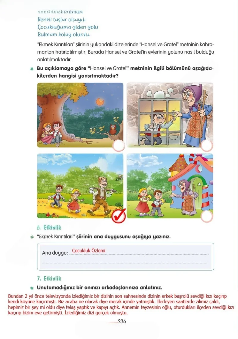 4. Sınıf Türkçe Ders Kitabı Cevapları Tuna Yayınları Sayfa 236 Çözüm Görseli