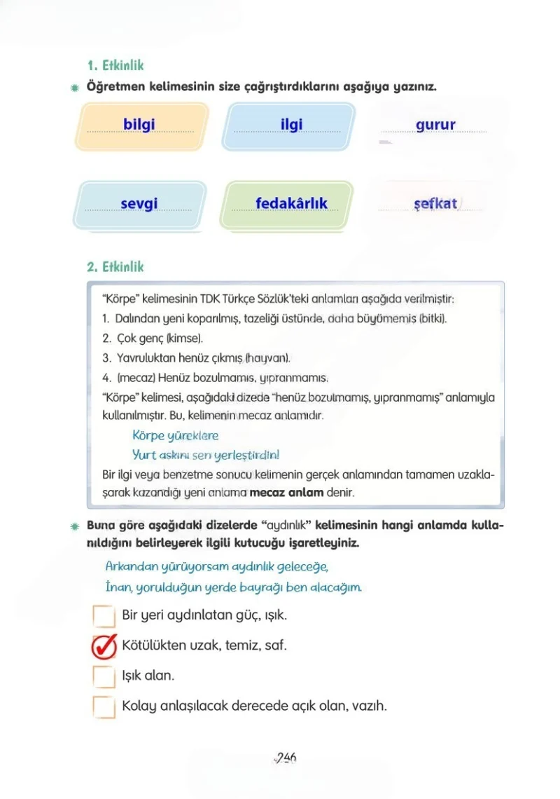 4. Sınıf Türkçe Ders Kitabı Cevapları Tuna Yayınları Sayfa 246 Çözüm Görseli