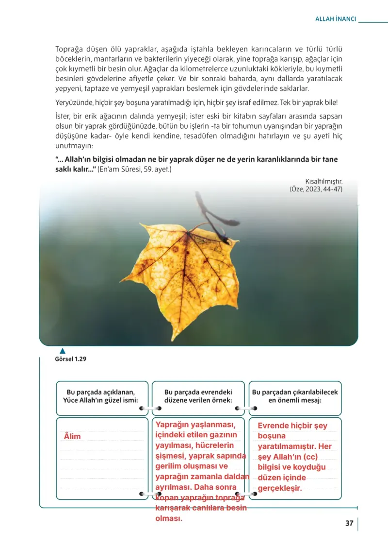 5. Sınıf Din Kültürü ve Ahlak Bilgisi Ders Kitabı Cevapları Meb Yayınları Sayfa 37 Çözüm Görseli