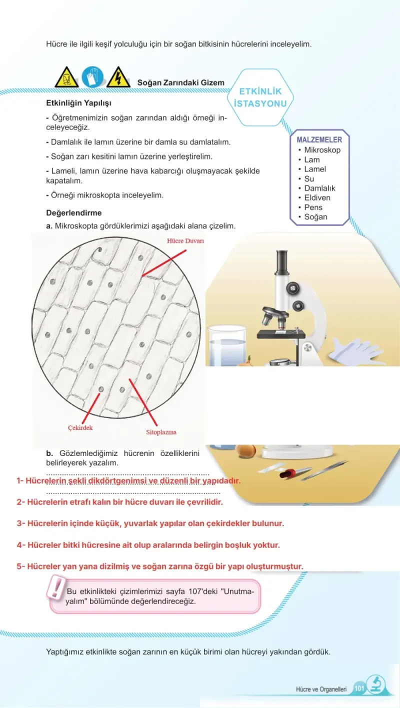 5. Sınıf Fen Bilimleri Ders Kitabı Cevapları Meb Yayınları 1. Kitap Sayfa 101 Çözüm Görseli