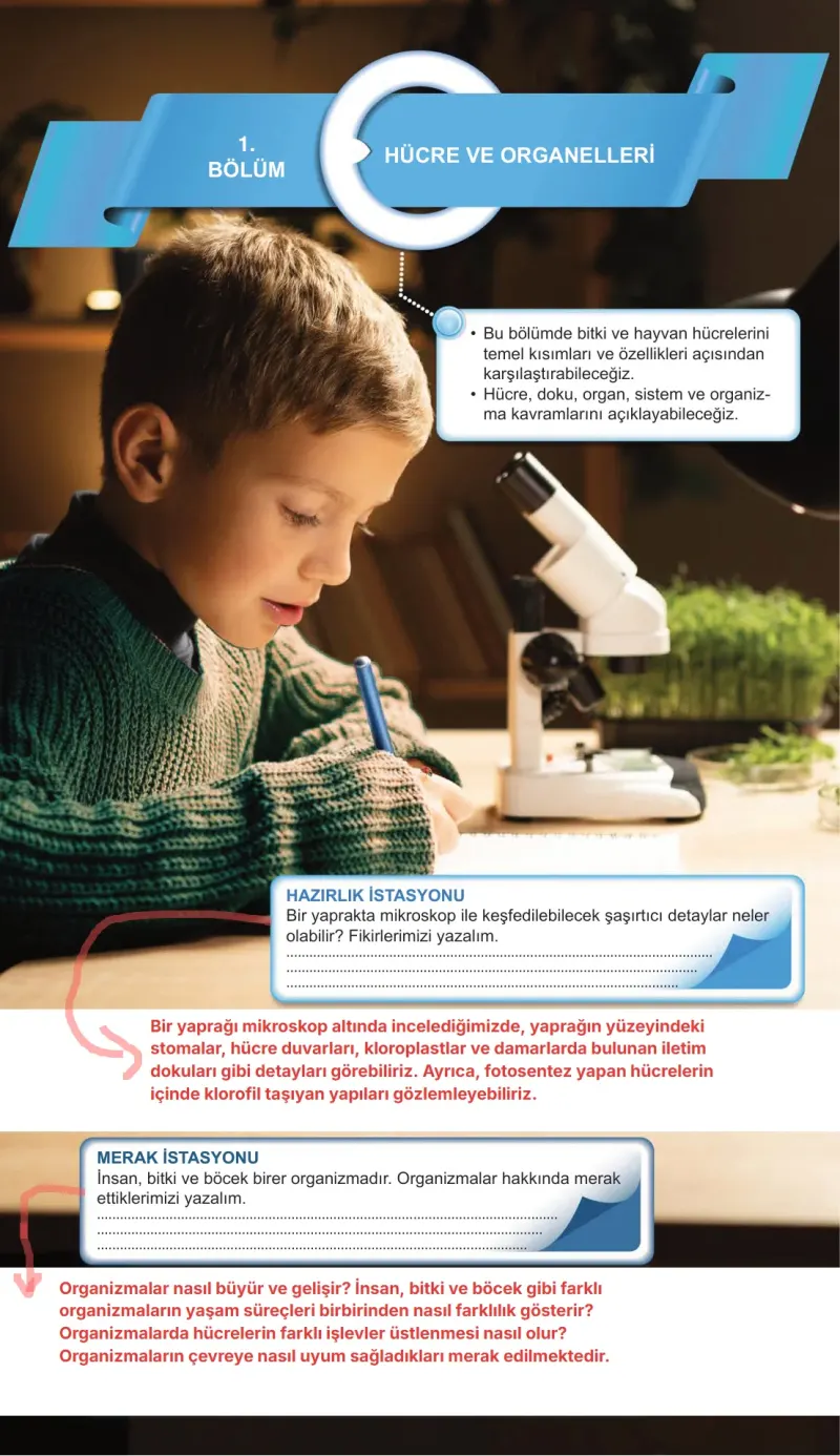 5. Sınıf Fen Bilimleri Ders Kitabı Cevapları Meb Yayınları 1. Kitap Sayfa 103 Çözüm Görseli