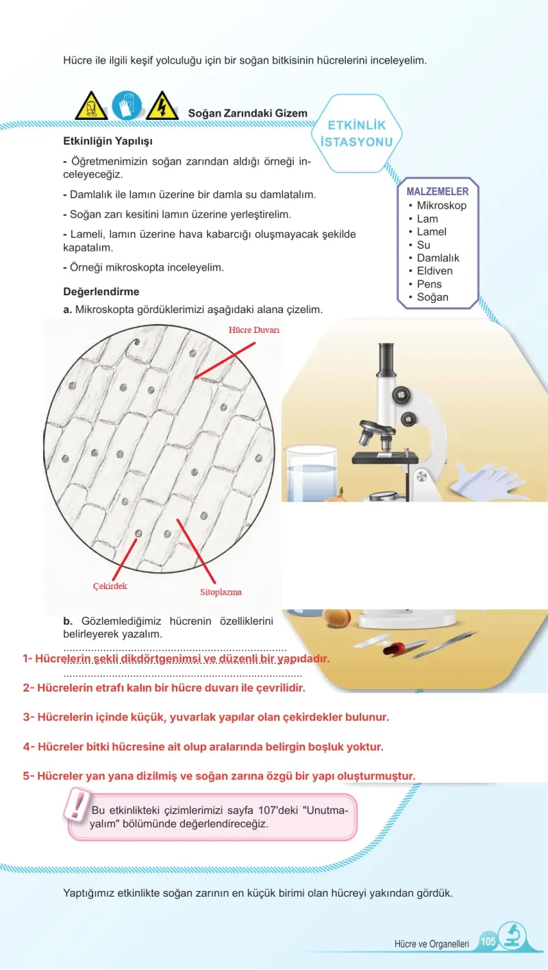 5. Sınıf Fen Bilimleri Ders Kitabı Cevapları Meb Yayınları 1. Kitap Sayfa 105 Çözüm Görseli