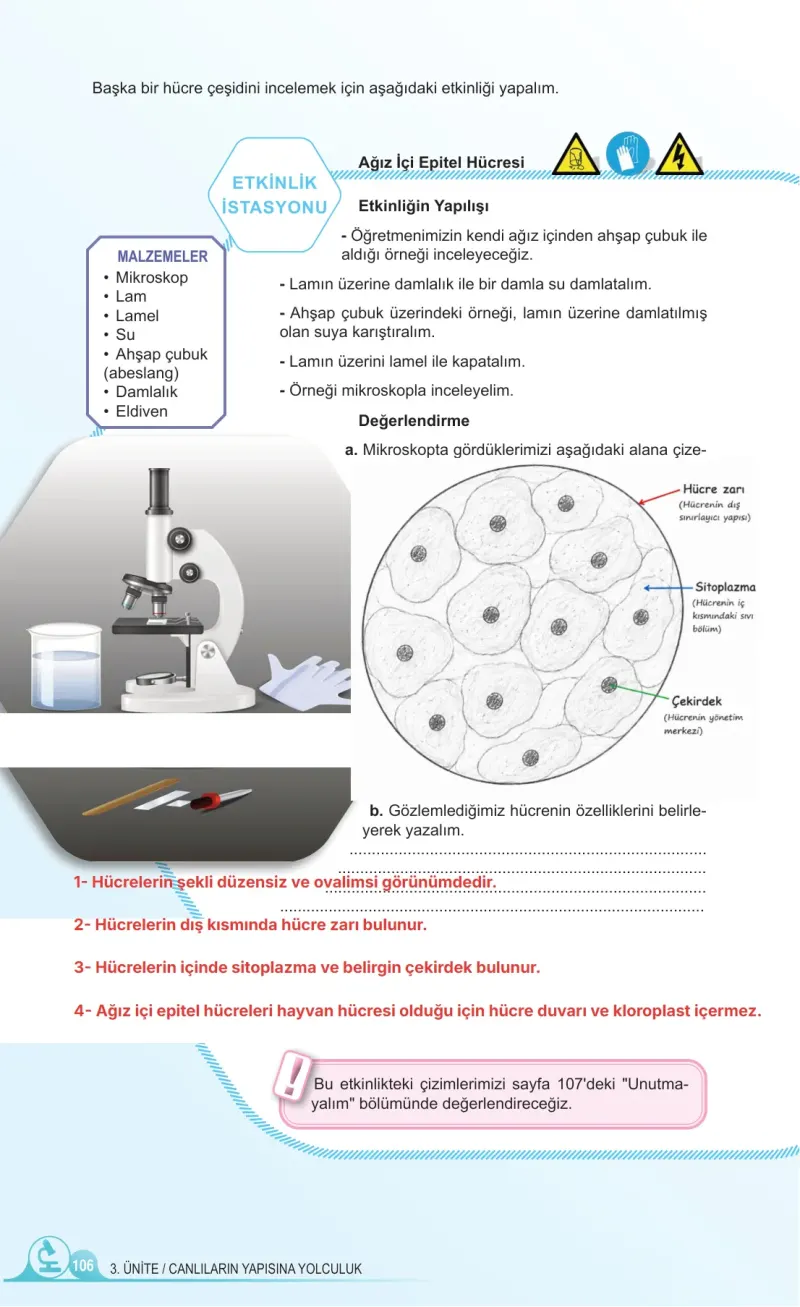 5. Sınıf Fen Bilimleri Ders Kitabı Cevapları Meb Yayınları 1. Kitap Sayfa 106 Çözüm Görseli