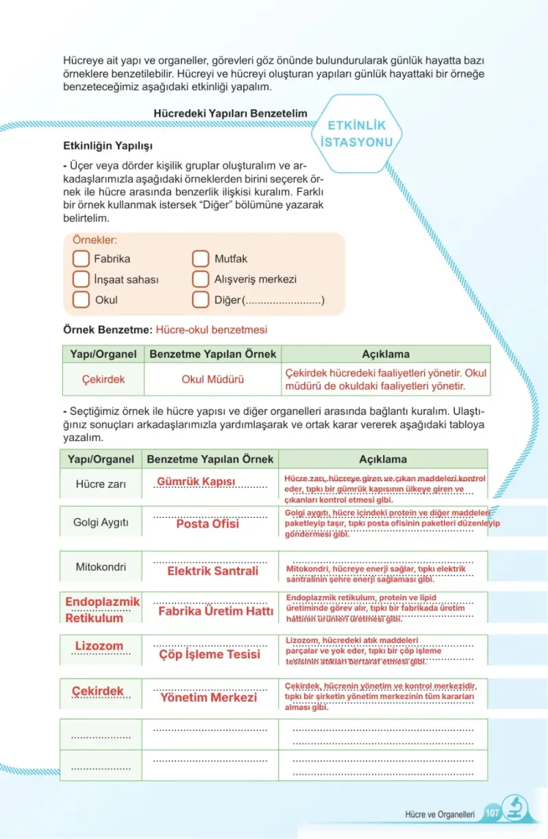 5. Sınıf Fen Bilimleri Ders Kitabı Cevapları Meb Yayınları 1. Kitap Sayfa 107 Çözüm Görseli