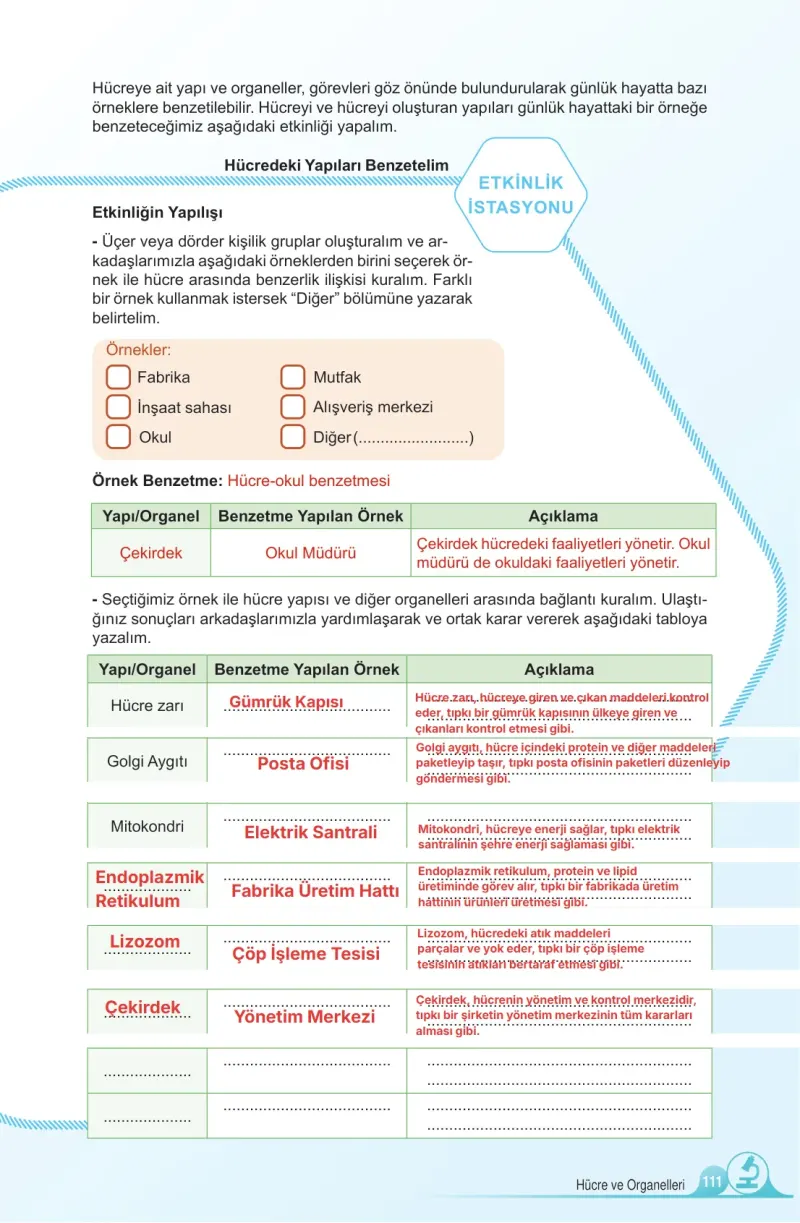 5. Sınıf Fen Bilimleri Ders Kitabı Cevapları Meb Yayınları 1. Kitap Sayfa 111 Çözüm Görseli