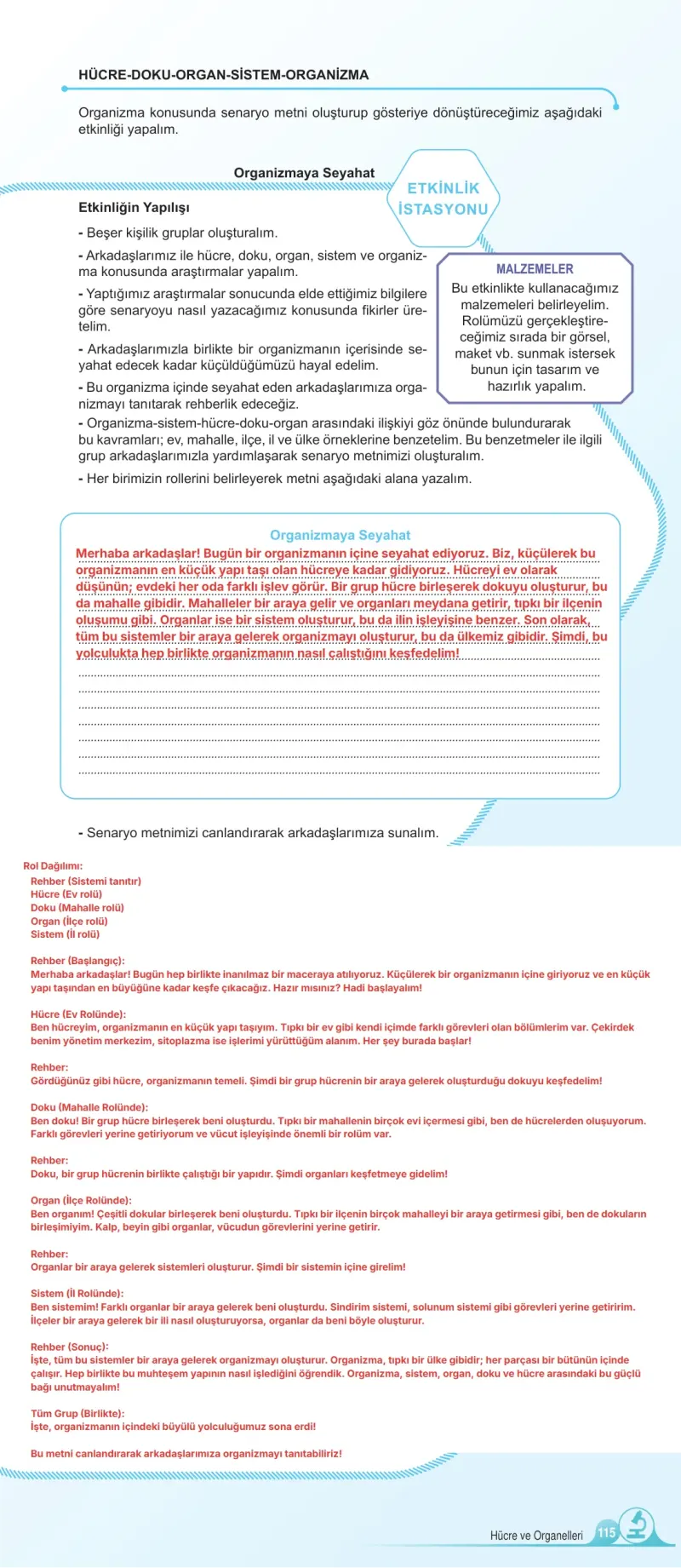 5. Sınıf Fen Bilimleri Ders Kitabı Cevapları Meb Yayınları 1. Kitap Sayfa 115 Çözüm Görseli