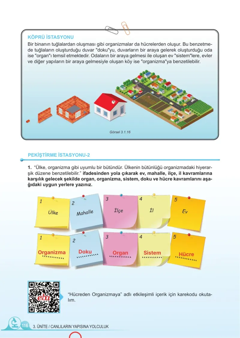 5. Sınıf Fen Bilimleri Ders Kitabı Cevapları Meb Yayınları 1. Kitap Sayfa 116 Çözüm Görseli