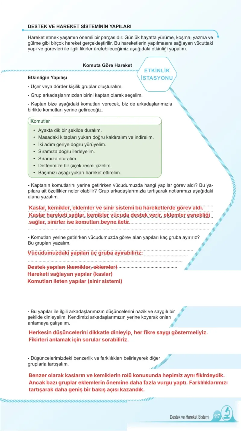 5. Sınıf Fen Bilimleri Ders Kitabı Cevapları Meb Yayınları 1. Kitap Sayfa 117 Çözüm Görseli