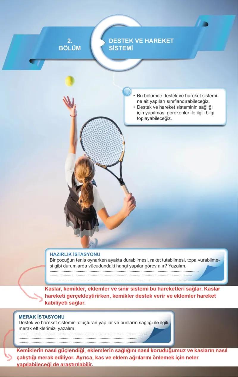 5. Sınıf Fen Bilimleri Ders Kitabı Cevapları Meb Yayınları 1. Kitap Sayfa 120 Çözüm Görseli