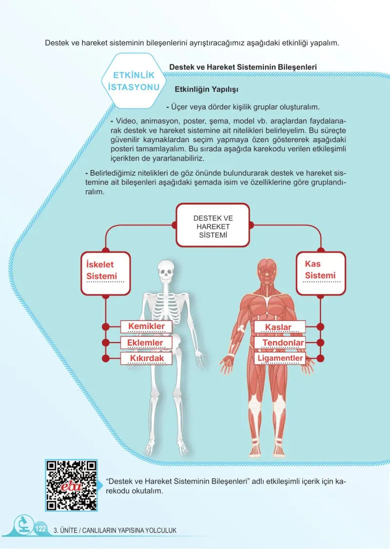 5. Sınıf Fen Bilimleri Ders Kitabı Cevapları Meb Yayınları 1. Kitap Sayfa 122 Çözüm Görseli
