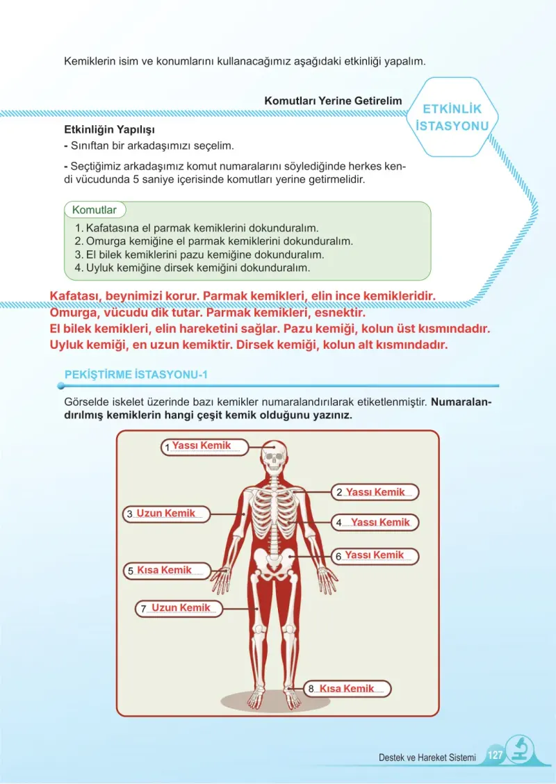 5. Sınıf Fen Bilimleri Ders Kitabı Cevapları Meb Yayınları 1. Kitap Sayfa 127 Çözüm Görseli