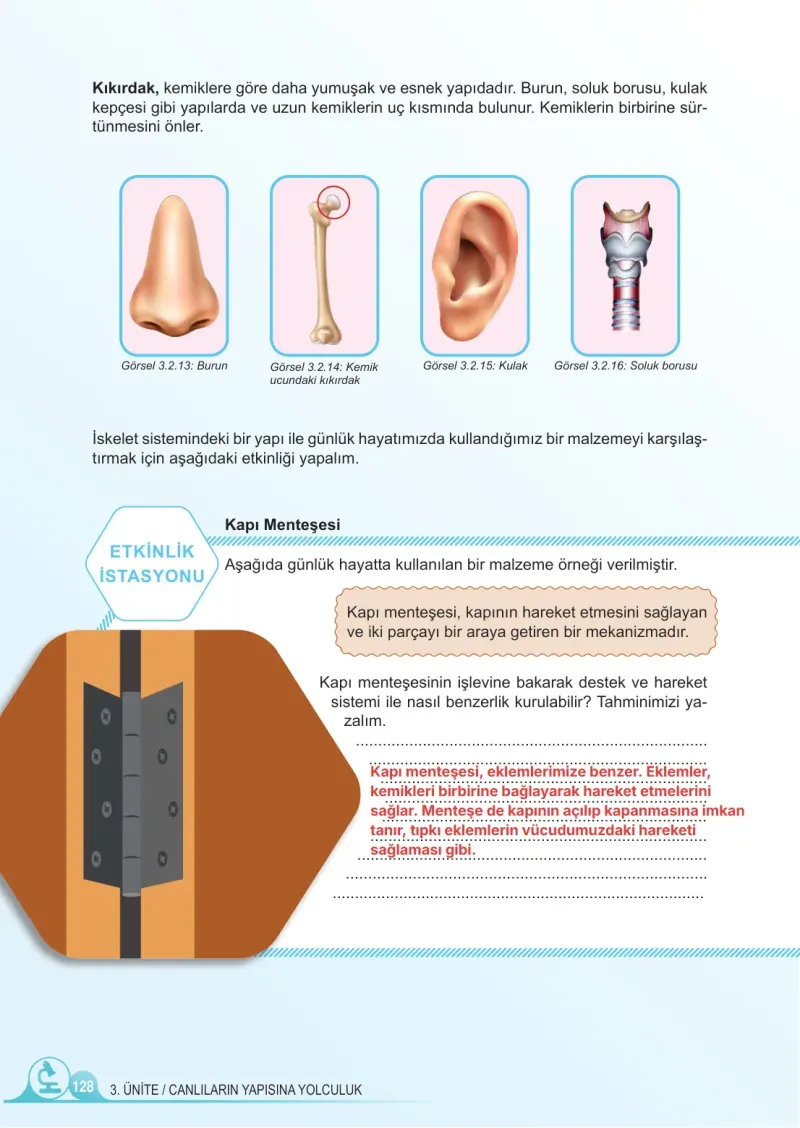 5. Sınıf Fen Bilimleri Ders Kitabı Cevapları Meb Yayınları 1. Kitap Sayfa 128 Çözüm Görseli