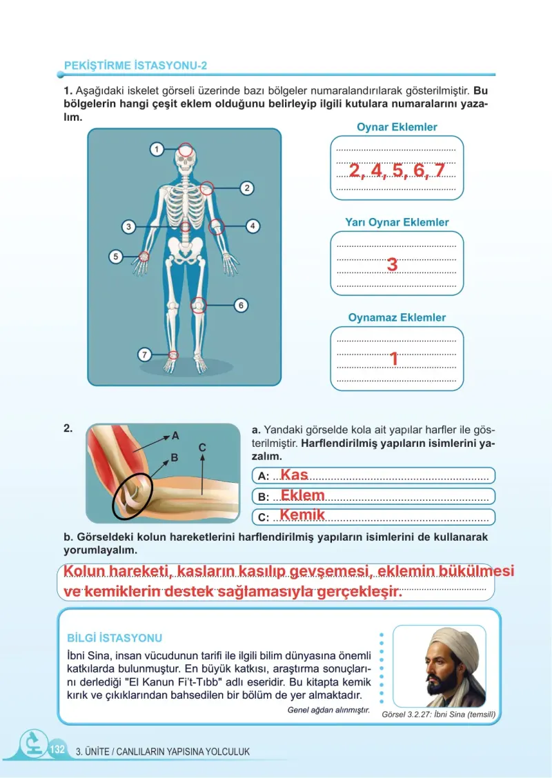 5. Sınıf Fen Bilimleri Ders Kitabı Cevapları Meb Yayınları 1. Kitap Sayfa 132 Çözüm Görseli