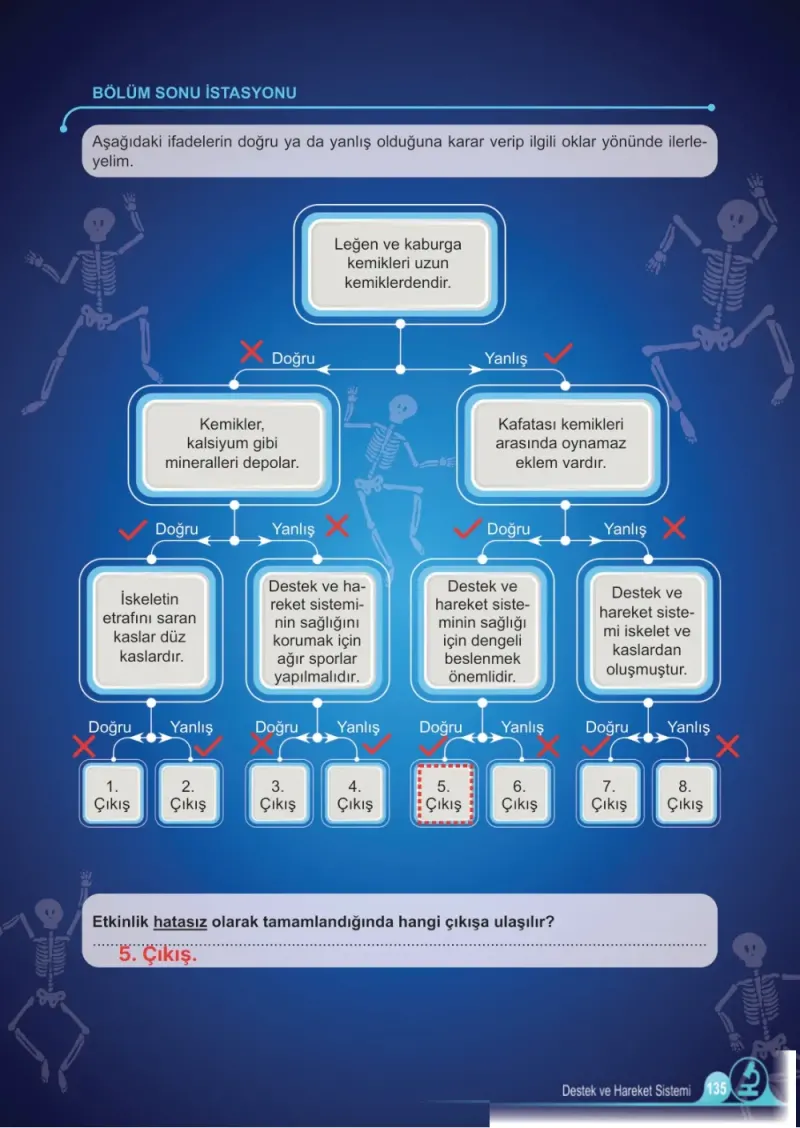 5. Sınıf Fen Bilimleri Ders Kitabı Cevapları Meb Yayınları 1. Kitap Sayfa 135 Çözüm Görseli