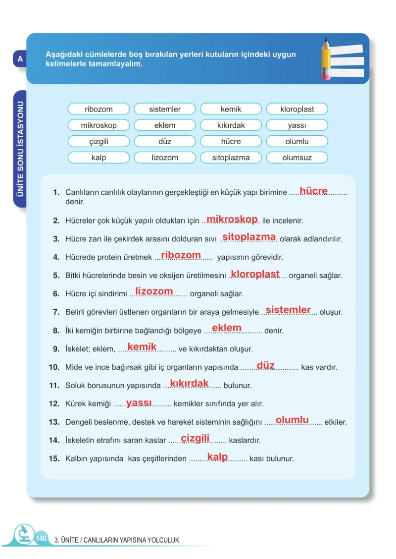 5. Sınıf Fen Bilimleri Ders Kitabı Cevapları Meb Yayınları 1. Kitap Sayfa 140 Çözüm Görseli