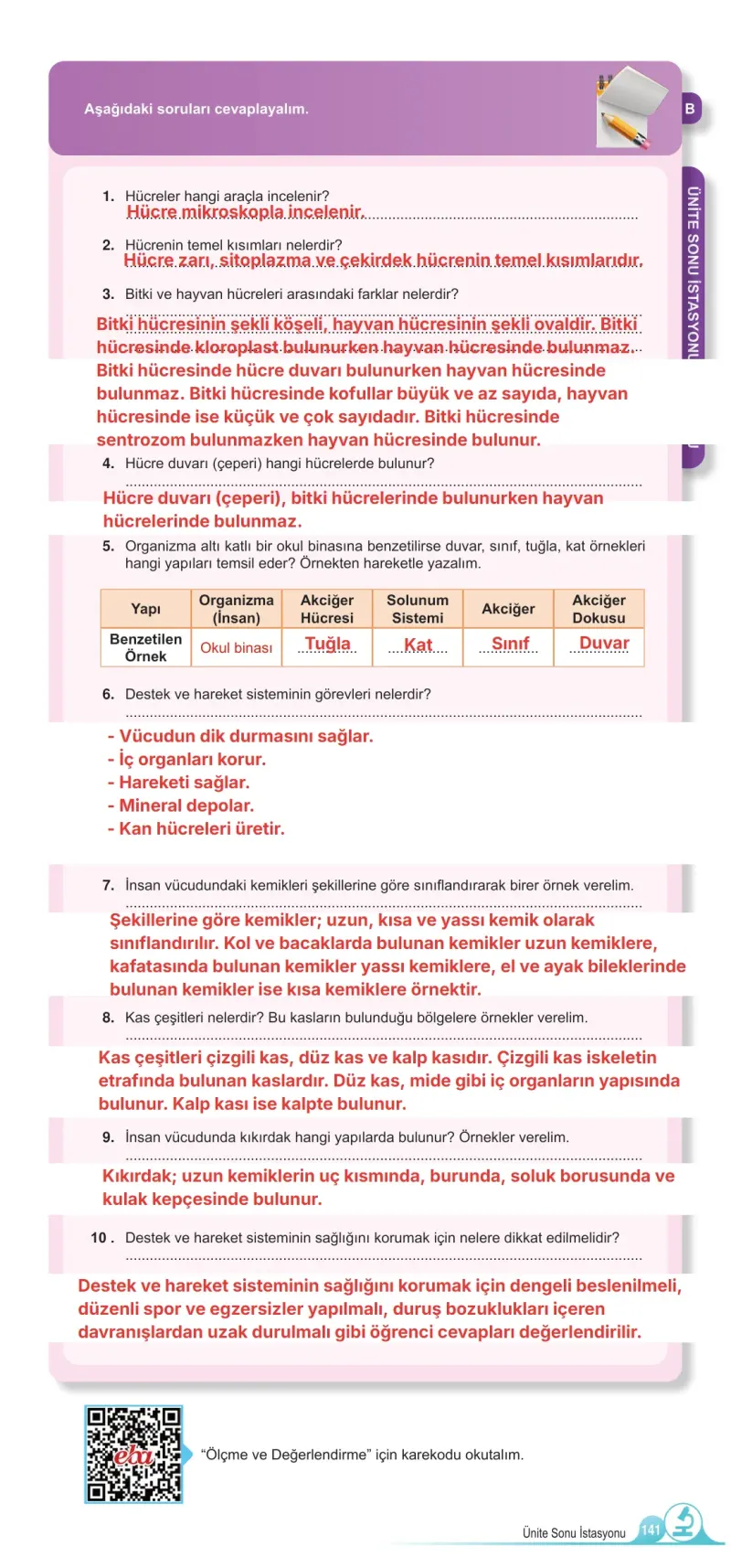 5. Sınıf Fen Bilimleri Ders Kitabı Cevapları Meb Yayınları 1. Kitap Sayfa 141 Çözüm Görseli