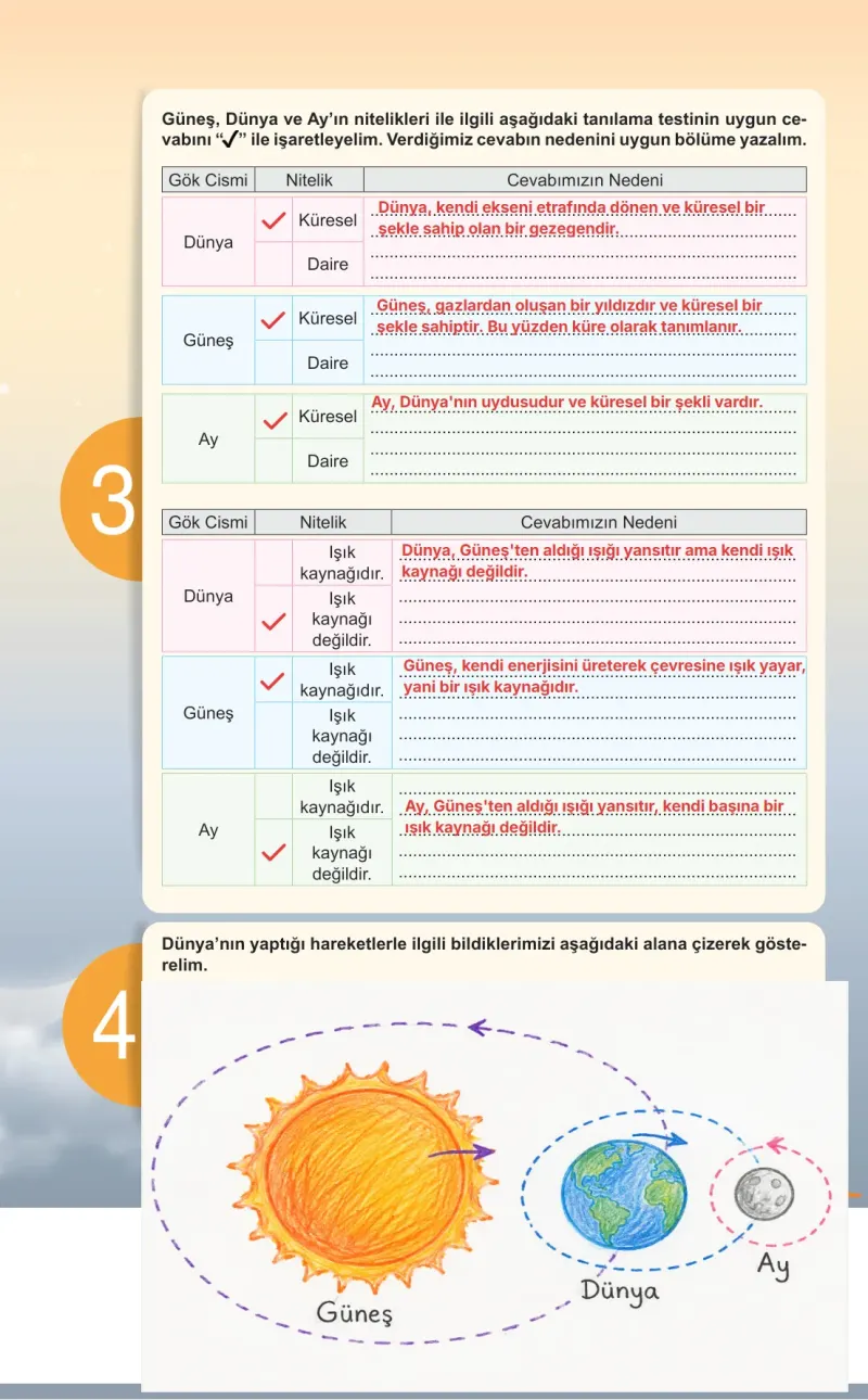 5. Sınıf Fen Bilimleri Ders Kitabı Cevapları Meb Yayınları 1. Kitap Sayfa 19 Çözüm Görseli