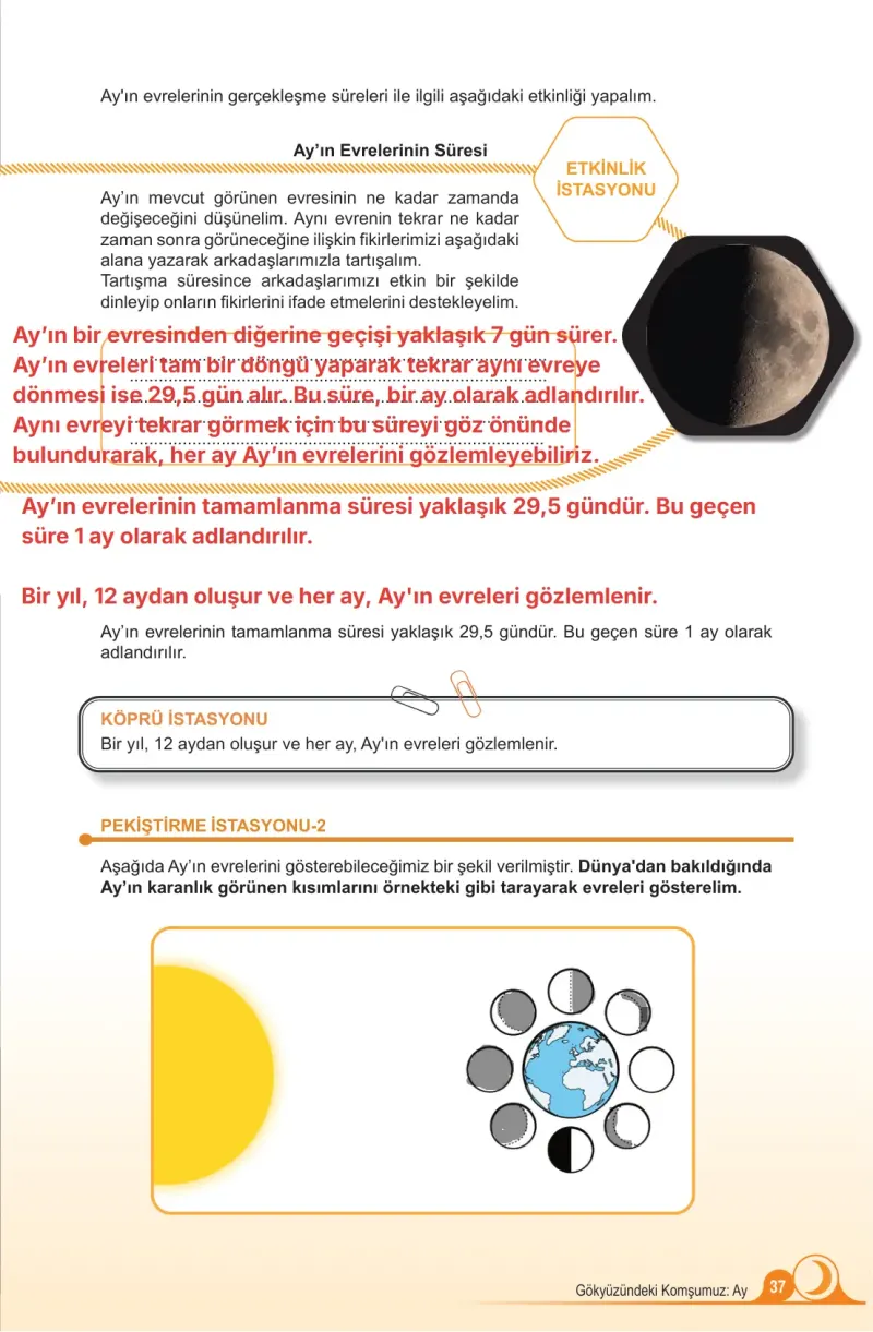 5. Sınıf Fen Bilimleri Ders Kitabı Cevapları Meb Yayınları 1. Kitap Sayfa 37 Çözüm Görseli