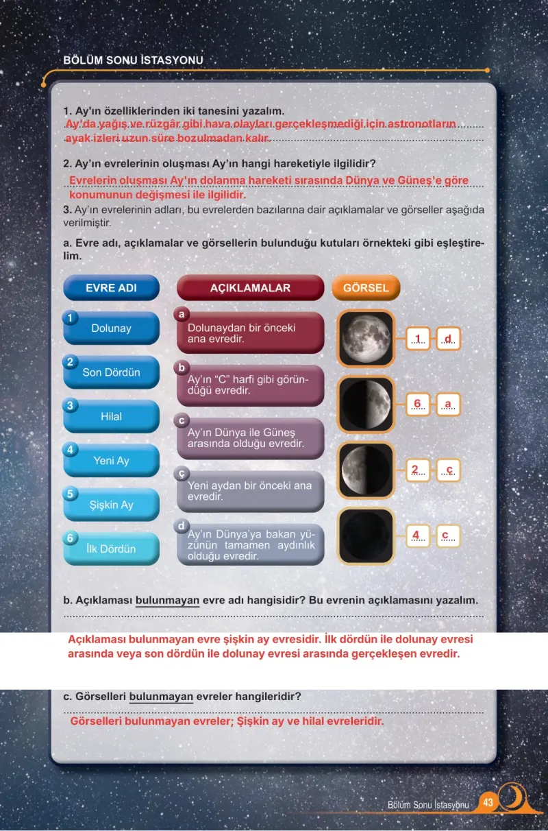 5. Sınıf Fen Bilimleri Ders Kitabı Cevapları Meb Yayınları 1. Kitap Sayfa 43 Çözüm Görseli